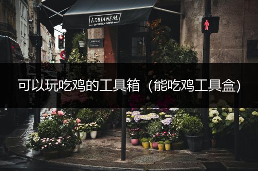 可以玩吃鸡的工具箱（能吃鸡工具盒）