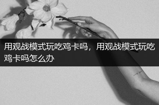 用观战模式玩吃鸡卡吗，用观战模式玩吃鸡卡吗怎么办