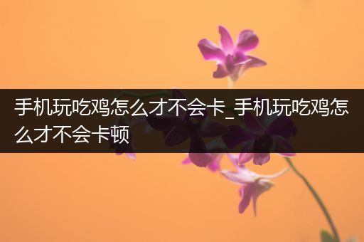 手机玩吃鸡怎么才不会卡_手机玩吃鸡怎么才不会卡顿