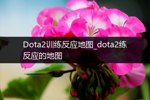 Dota2训练反应地图_dota2练反应的地图