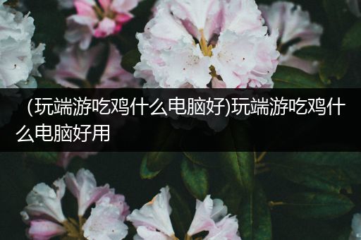 （玩端游吃鸡什么电脑好)玩端游吃鸡什么电脑好用