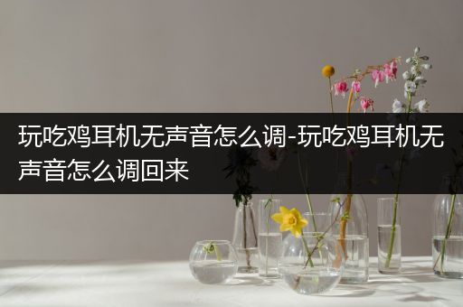 玩吃鸡耳机无声音怎么调-玩吃鸡耳机无声音怎么调回来