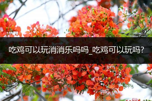 吃鸡可以玩消消乐吗吗_吃鸡可以玩吗?
