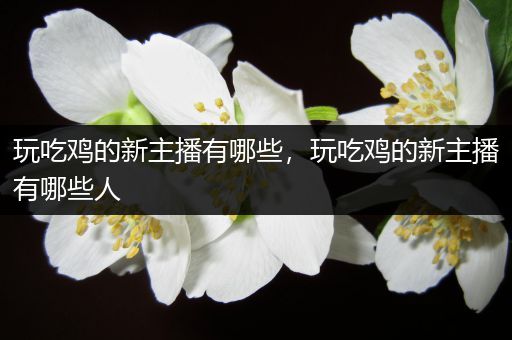 玩吃鸡的新主播有哪些，玩吃鸡的新主播有哪些人