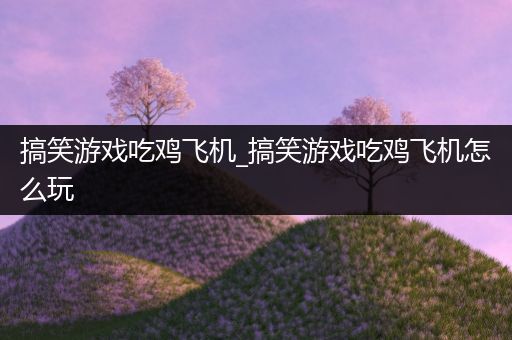 搞笑游戏吃鸡飞机_搞笑游戏吃鸡飞机怎么玩