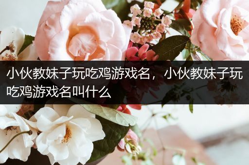小伙教妹子玩吃鸡游戏名，小伙教妹子玩吃鸡游戏名叫什么