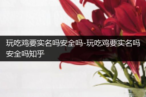 玩吃鸡要实名吗安全吗-玩吃鸡要实名吗安全吗知乎