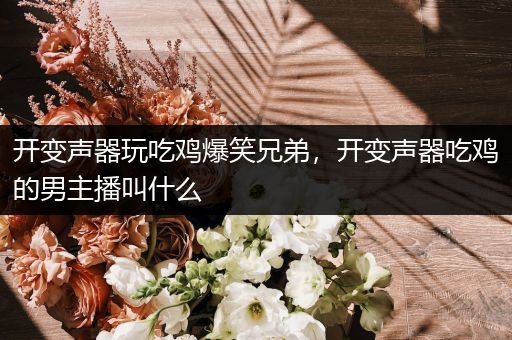 开变声器玩吃鸡爆笑兄弟，开变声器吃鸡的男主播叫什么