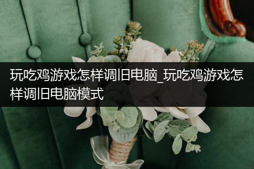 玩吃鸡游戏怎样调旧电脑_玩吃鸡游戏怎样调旧电脑模式