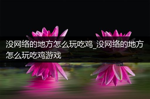 没网络的地方怎么玩吃鸡_没网络的地方怎么玩吃鸡游戏