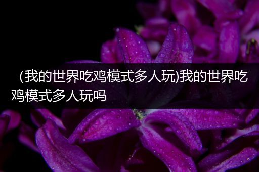 （我的世界吃鸡模式多人玩)我的世界吃鸡模式多人玩吗