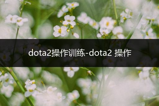 dota2操作训练-dota2 操作