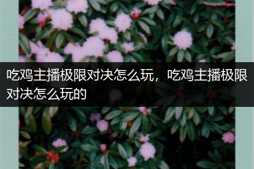吃鸡主播极限对决怎么玩，吃鸡主播极限对决怎么玩的