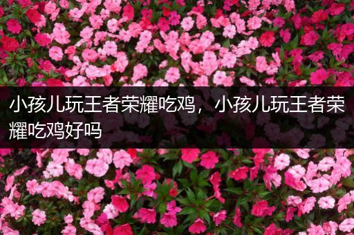 小孩儿玩王者荣耀吃鸡，小孩儿玩王者荣耀吃鸡好吗