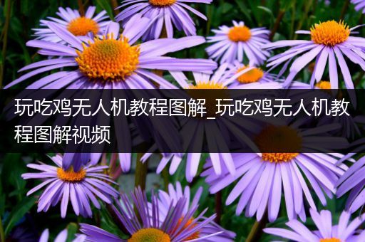 玩吃鸡无人机教程图解_玩吃鸡无人机教程图解视频