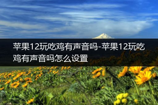 苹果12玩吃鸡有声音吗-苹果12玩吃鸡有声音吗怎么设置