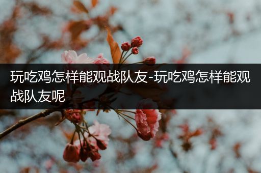 玩吃鸡怎样能观战队友-玩吃鸡怎样能观战队友呢