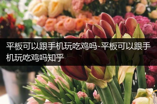 平板可以跟手机玩吃鸡吗-平板可以跟手机玩吃鸡吗知乎