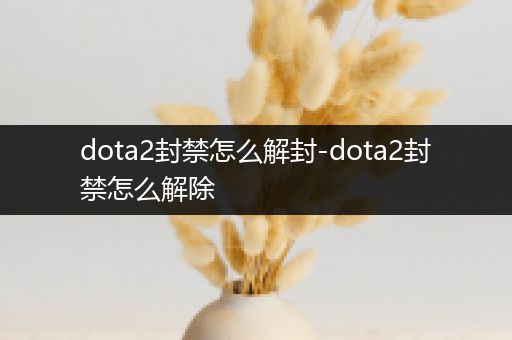 dota2封禁怎么解封-dota2封禁怎么解除