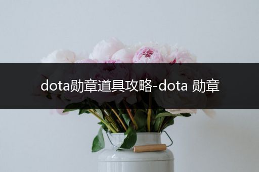 dota勋章道具攻略-dota 勋章