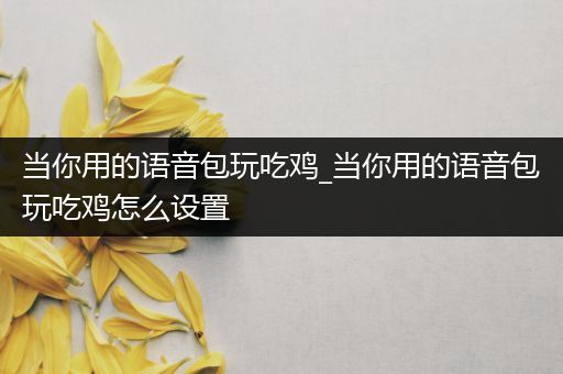 当你用的语音包玩吃鸡_当你用的语音包玩吃鸡怎么设置