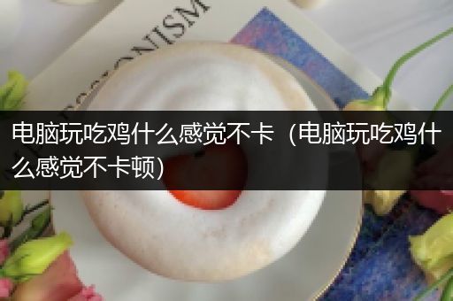 电脑玩吃鸡什么感觉不卡（电脑玩吃鸡什么感觉不卡顿）
