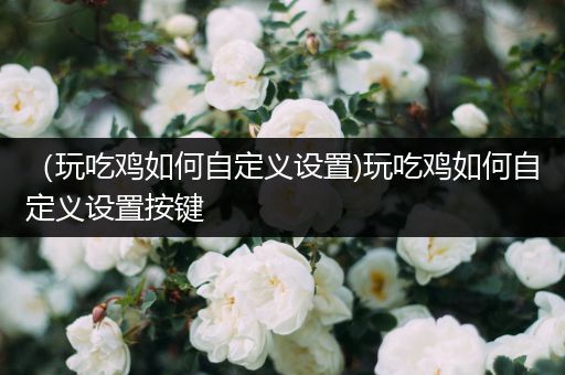（玩吃鸡如何自定义设置)玩吃鸡如何自定义设置按键