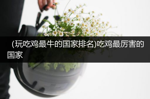 （玩吃鸡最牛的国家排名)吃鸡最厉害的国家