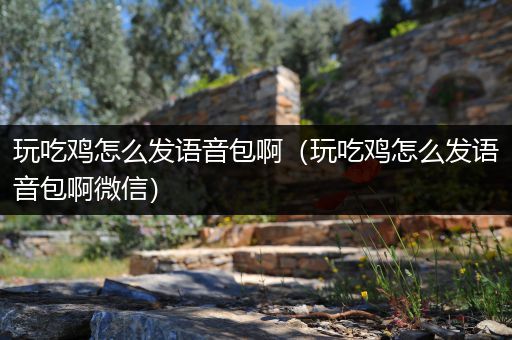 玩吃鸡怎么发语音包啊（玩吃鸡怎么发语音包啊微信）
