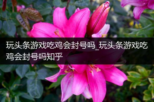 玩头条游戏吃鸡会封号吗_玩头条游戏吃鸡会封号吗知乎
