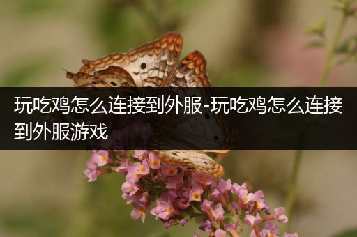 玩吃鸡怎么连接到外服-玩吃鸡怎么连接到外服游戏