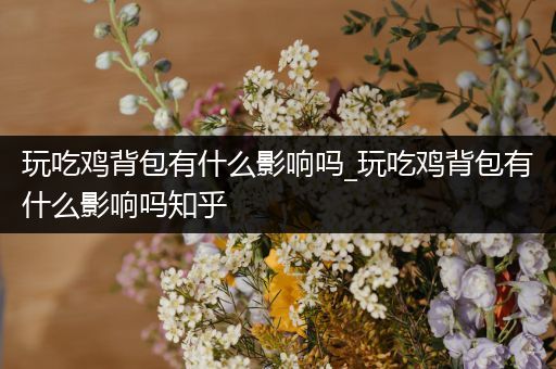 玩吃鸡背包有什么影响吗_玩吃鸡背包有什么影响吗知乎