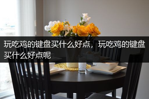 玩吃鸡的键盘买什么好点，玩吃鸡的键盘买什么好点呢