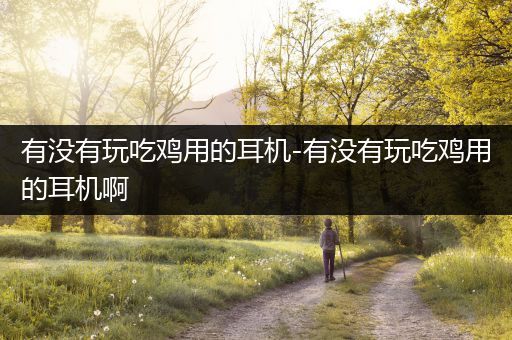 有没有玩吃鸡用的耳机-有没有玩吃鸡用的耳机啊