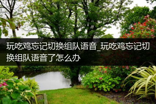 玩吃鸡忘记切换组队语音_玩吃鸡忘记切换组队语音了怎么办