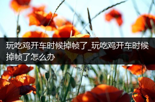 玩吃鸡开车时候掉帧了_玩吃鸡开车时候掉帧了怎么办