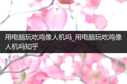 用电脑玩吃鸡像人机吗_用电脑玩吃鸡像人机吗知乎