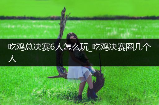 吃鸡总决赛6人怎么玩_吃鸡决赛圈几个人