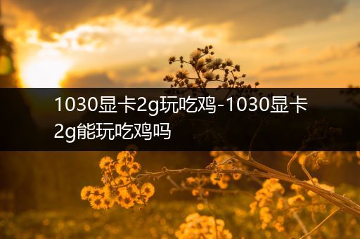 1030显卡2g玩吃鸡-1030显卡2g能玩吃鸡吗