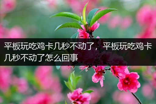 平板玩吃鸡卡几秒不动了，平板玩吃鸡卡几秒不动了怎么回事