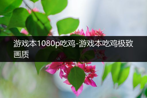 游戏本1080p吃鸡-游戏本吃鸡极致画质