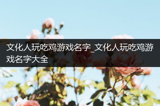 文化人玩吃鸡游戏名字_文化人玩吃鸡游戏名字大全