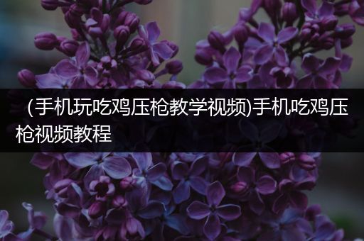 （手机玩吃鸡压枪教学视频)手机吃鸡压枪视频教程