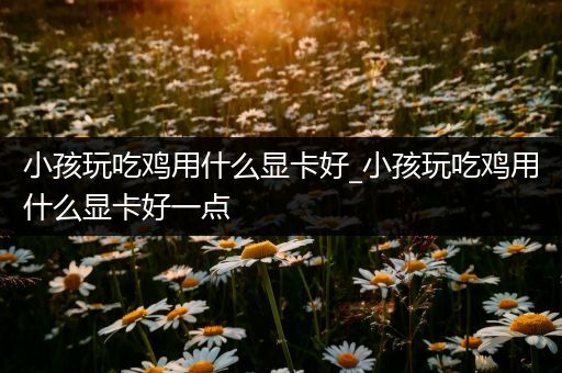 小孩玩吃鸡用什么显卡好_小孩玩吃鸡用什么显卡好一点