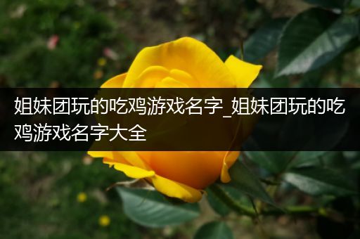 姐妹团玩的吃鸡游戏名字_姐妹团玩的吃鸡游戏名字大全