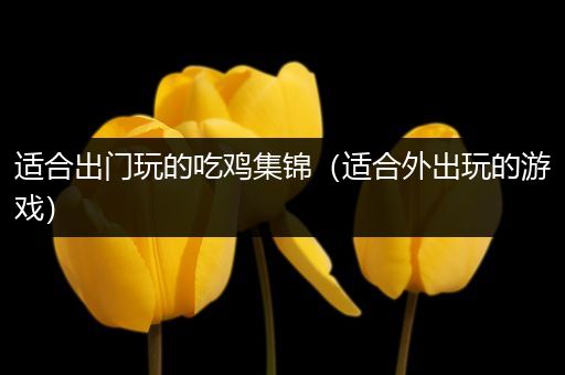 适合出门玩的吃鸡集锦（适合外出玩的游戏）