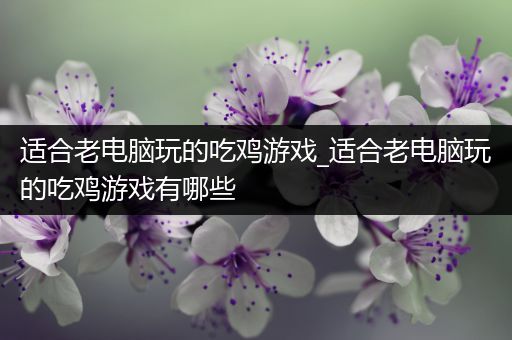 适合老电脑玩的吃鸡游戏_适合老电脑玩的吃鸡游戏有哪些