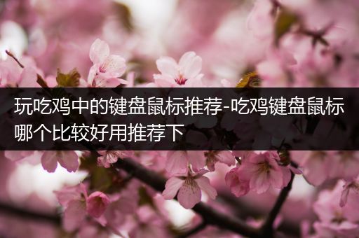 玩吃鸡中的键盘鼠标推荐-吃鸡键盘鼠标哪个比较好用推荐下