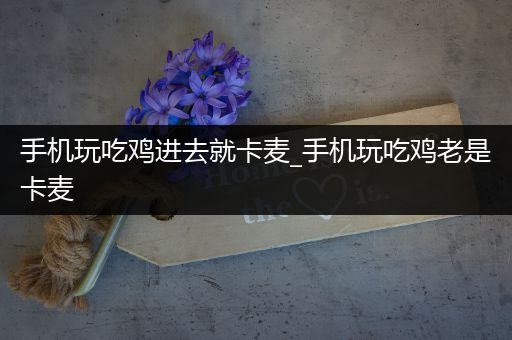 手机玩吃鸡进去就卡麦_手机玩吃鸡老是卡麦