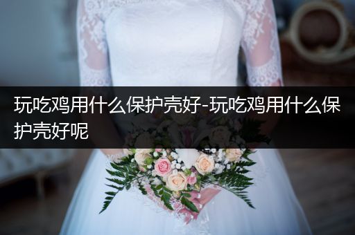 玩吃鸡用什么保护壳好-玩吃鸡用什么保护壳好呢